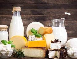 5 Manfaat Kandungan Keju Olahan Susu Murni