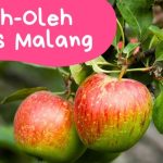 Makanan Khas Malang