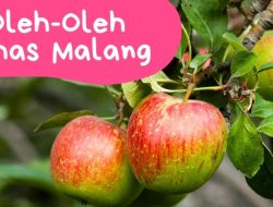 Aneka Makanan Khas Malang