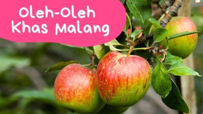 Makanan Khas Malang