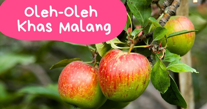 Makanan Khas Malang
