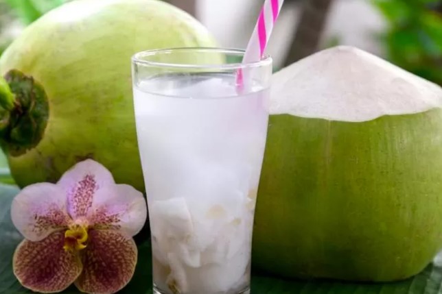 es buah kelapa muda