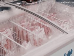 Fungsi Chest Freezer pada Area RTD