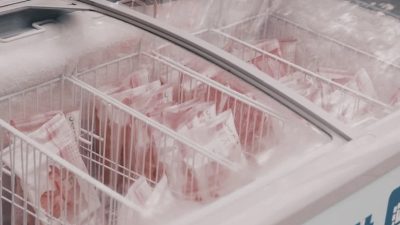 Fungsi Chest Freezer