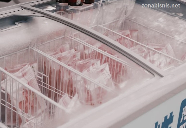 Fungsi Chest Freezer